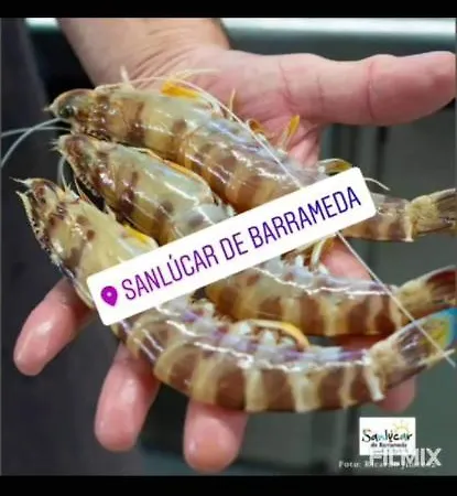 Piso De Dos En El Centro De Appartamento Sanlúcar de Barrameda